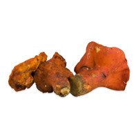 Frozen Lobster Mushrooms