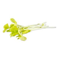 Gold Fava Shoots-2