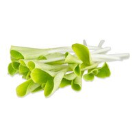 Gold Squash Shoots-1