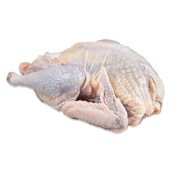 Whole raw guinea fowl (aka Guinea Hens, pintade, faraona, African pheasant)