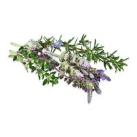 Fresh Herb Blossoms-1