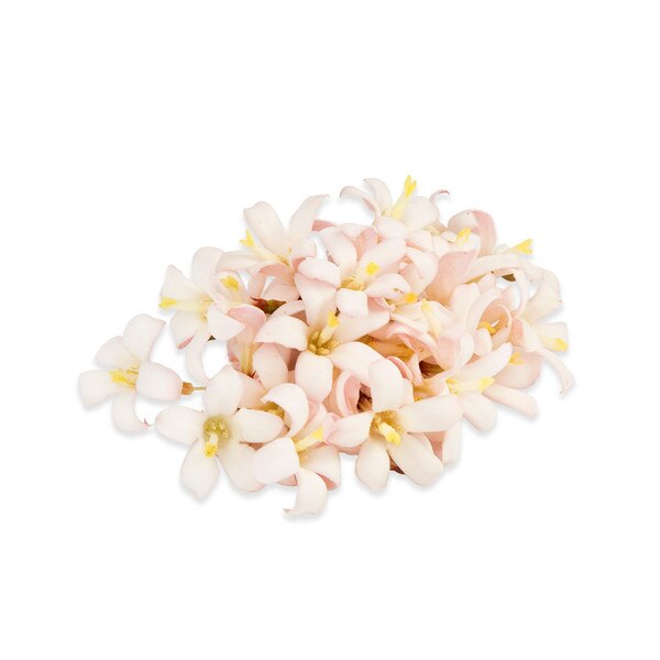 Fresh Edible Jasmine Flowers for Sale