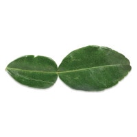 Makrut Lime Leaves