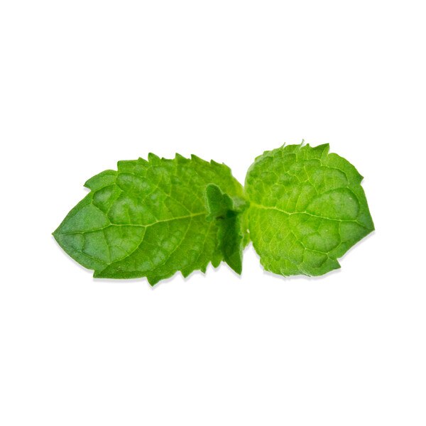 Lime Mint Tops-1