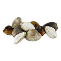 Live Clam Sampler