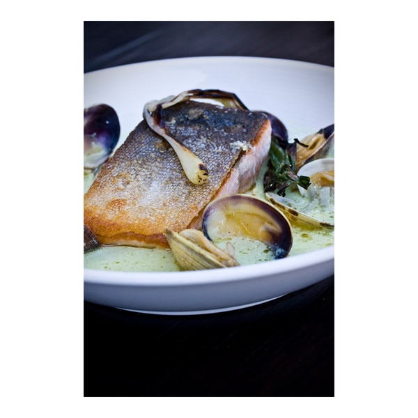 Littlenecks Middlenecks Topnecks Clams Marx Foods Littlenecks Middlenecks Topnecks Clams Marx Foods