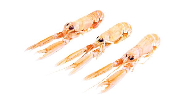 Langoustines