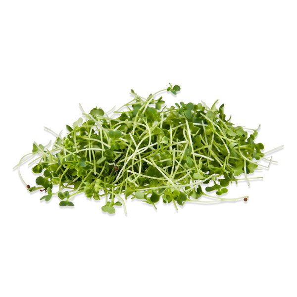 cluster of micro arugula