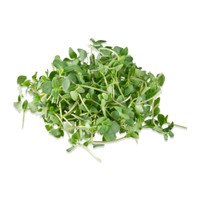 Micro Basil Licorice-1