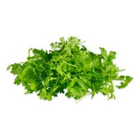 Micro Chervil-1