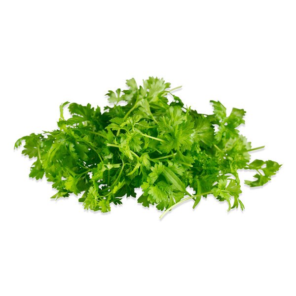 Micro Chervil-1