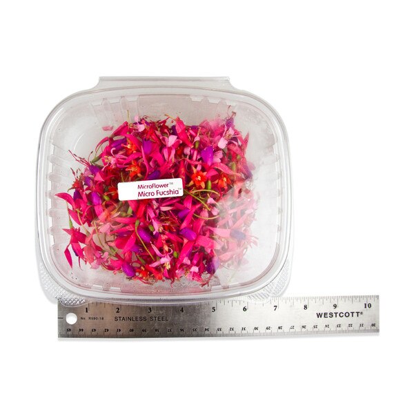 Fresh Micro Fuchsias™-2