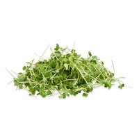 pile of micro mizuna greens