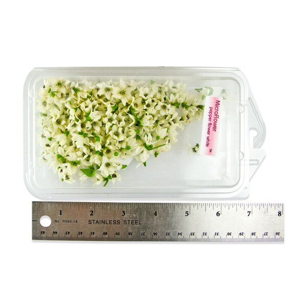 Fresh Micro Pepper Flower White-2