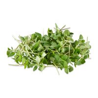 loose sprigs of micro Thai basil