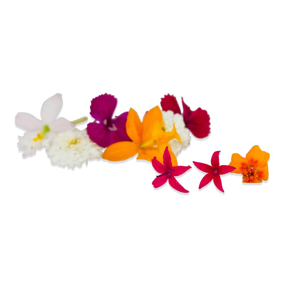 Buy a Fresh Edible Microflowers Blend with Marigolds, Daisies, Mums & More at