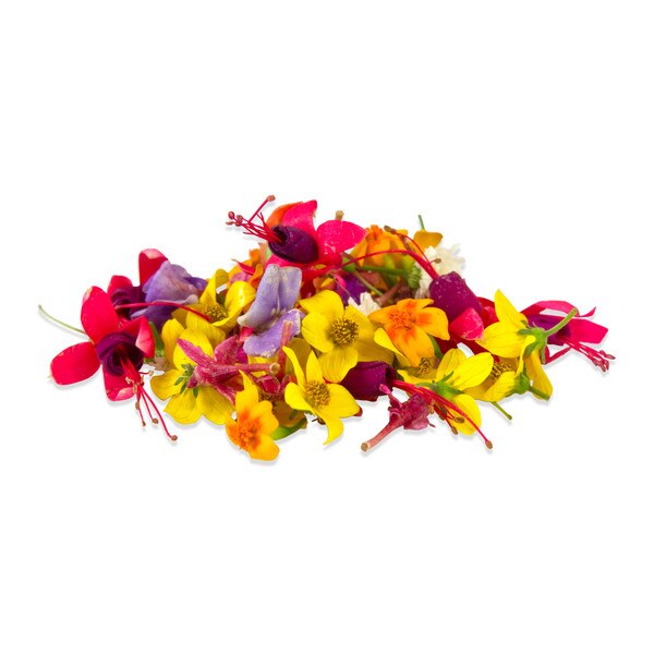 Edible Orchids  Buy Wholesale Edible Flower Karma Orchids Online - Marx  Foods