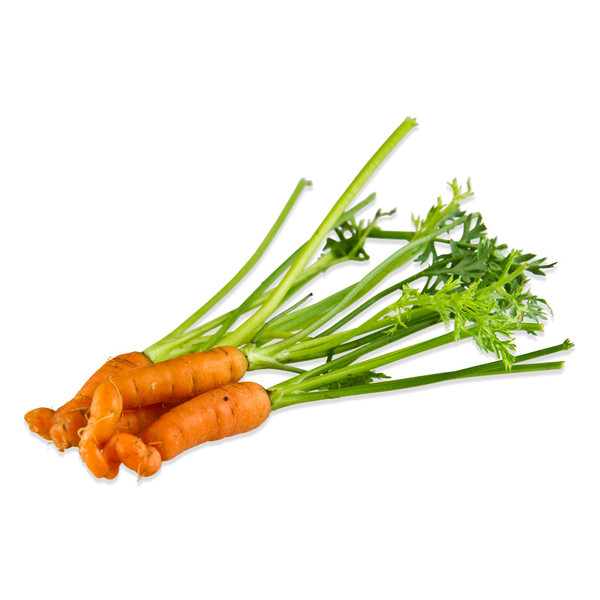 Tiny Carrots-2