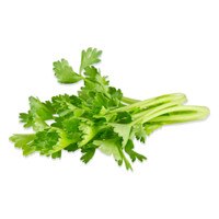 Tiny Celery-2