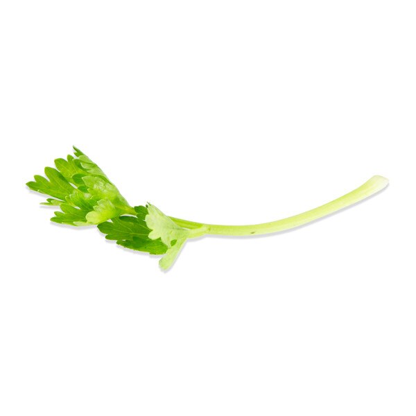 Tiny Celery-1