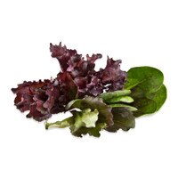 Mini Crown Lettuce Mix-1