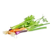 tiny mirepoix veggies: celery stalk, purple onion & carrot