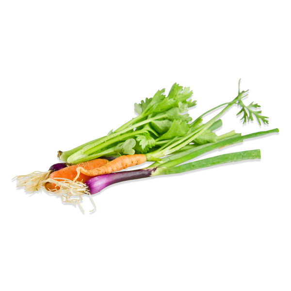 tiny mirepoix veggies: celery stalk, purple onion & carrot