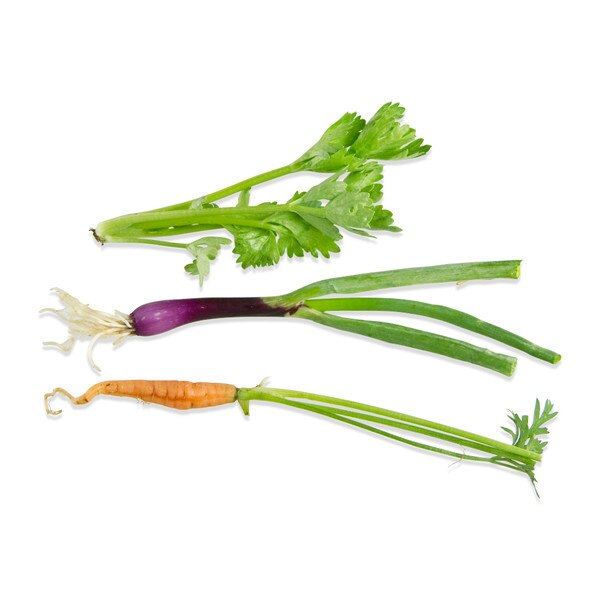 tiny mirepoix veggies: celery stalk, purple onion & carrot 2