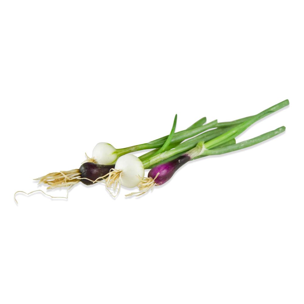 Tiny Veggies™ Onion & Tiny Veggies™ Onion Red for Sale Marx Foods