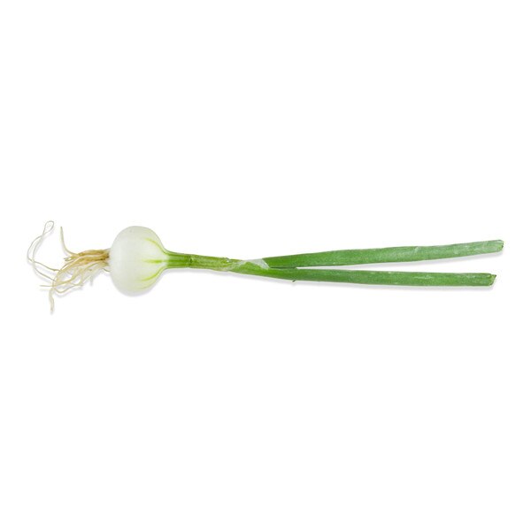 Tiny Onions-1