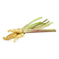 Tiny Parsnips-2