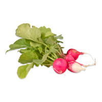 a bunch of 4 tiny radishes