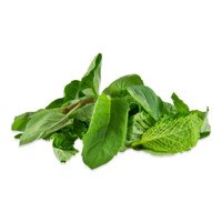 clusters of assorted green mint leaves