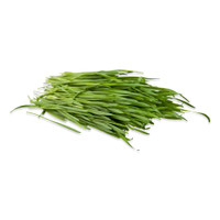 Fresh Wheatgrass-1