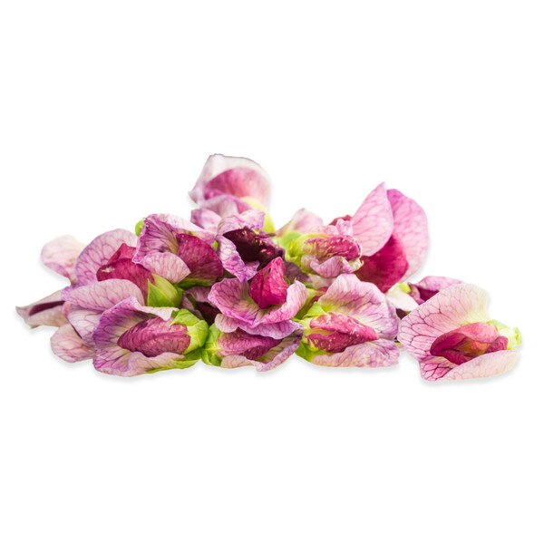 Fresh Pea Flowers-1