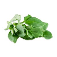 Petite Fava Leaf™-1