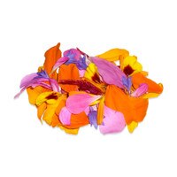 Fresh Edible Flower Petal Mix-1