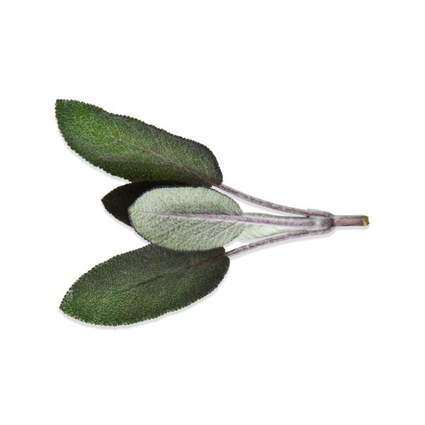 Purple Sage Tops-2