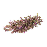 Fresh Purple Shiso Flowers-1
