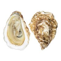 Quonset Point Oysters