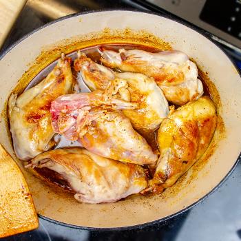 Seared rabbit in a dutch oven