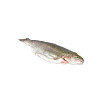 Whole, raw rainbow trout