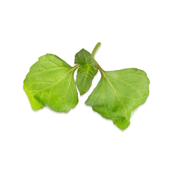 Szechuan/Buzz Button Leaves-2