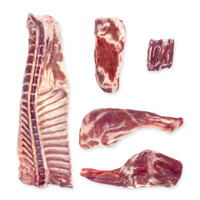 Whole raw suckling lamb cut up into 5 pieces arranged on white background