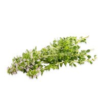 Fresh Thyme Blossoms-1