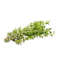 Fresh Thyme Blossoms-1