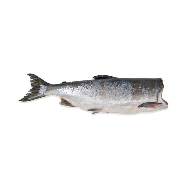 Wild Pink Salmon Whole Side Fillets