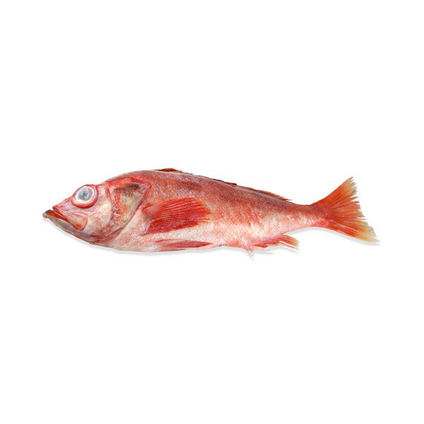 My Image 25