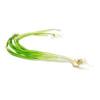 Wild Onions