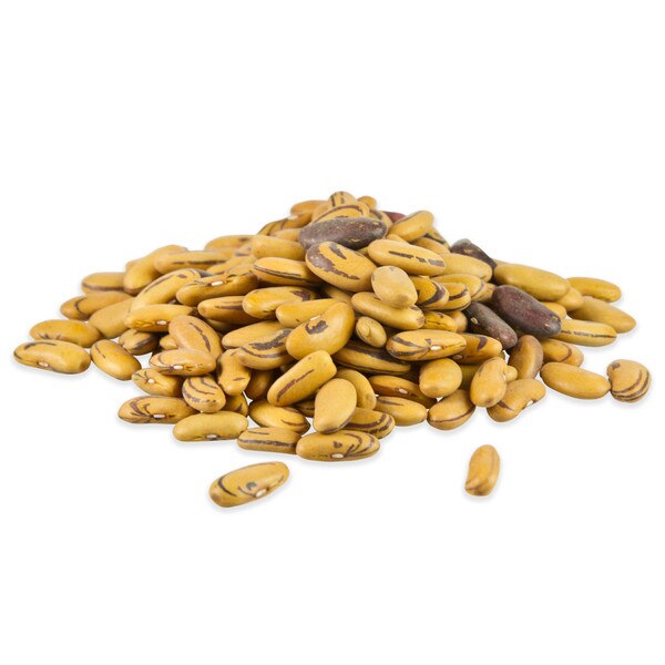 Buy Dried Tiger Eye Beans Online Marx Foods
